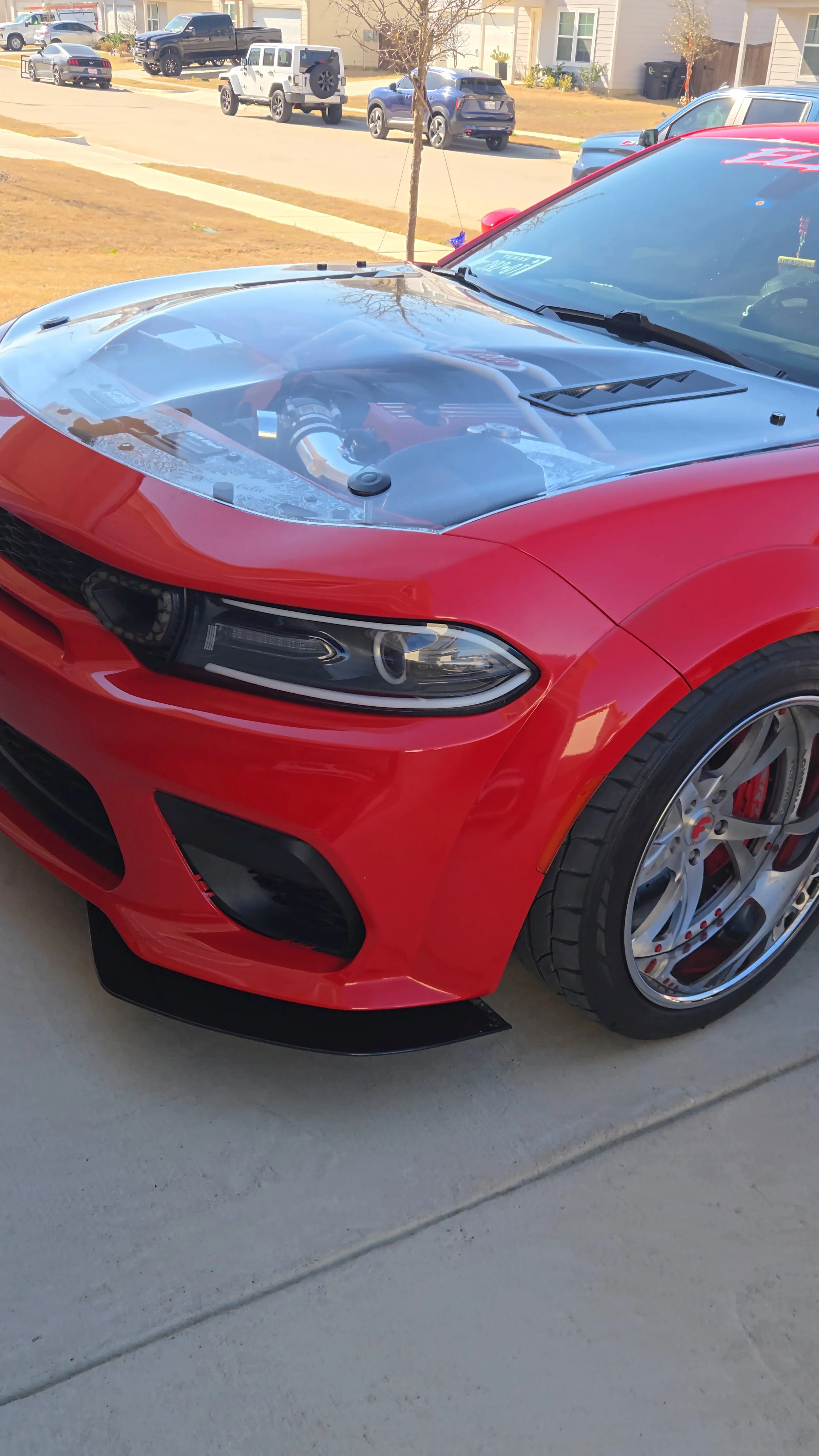 15-23 Charger Scat Pack Clear Hood