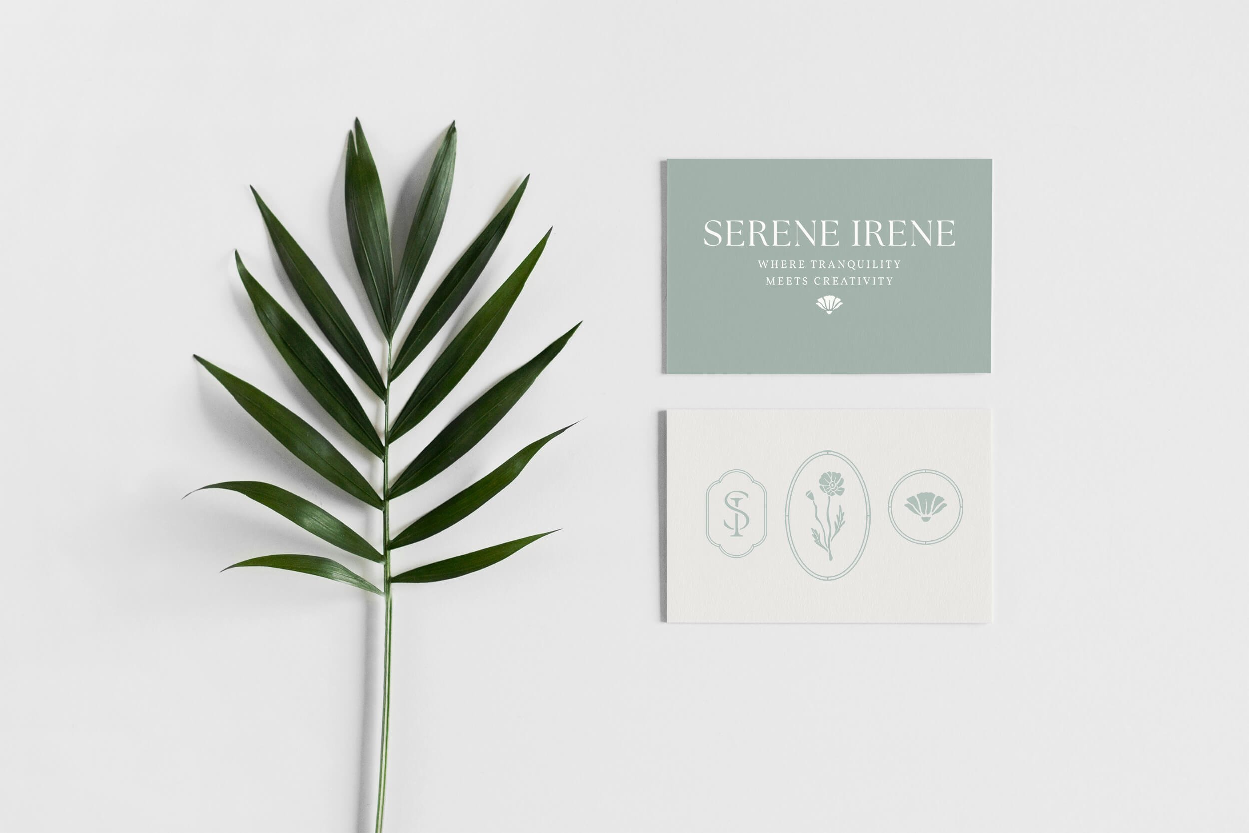 New Brand Identity of Serene Irene