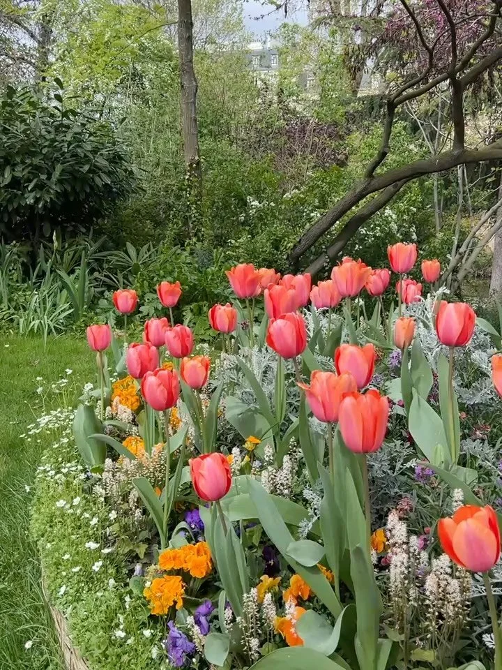 &ldquo;The best thing we can do for the future is take care of our planet today.&rdquo; 🌿

Finding a moment of peace among the tulips at Square des Batignolles. This English-style garden in Paris is a hidden gem of winding paths, century-old trees, 