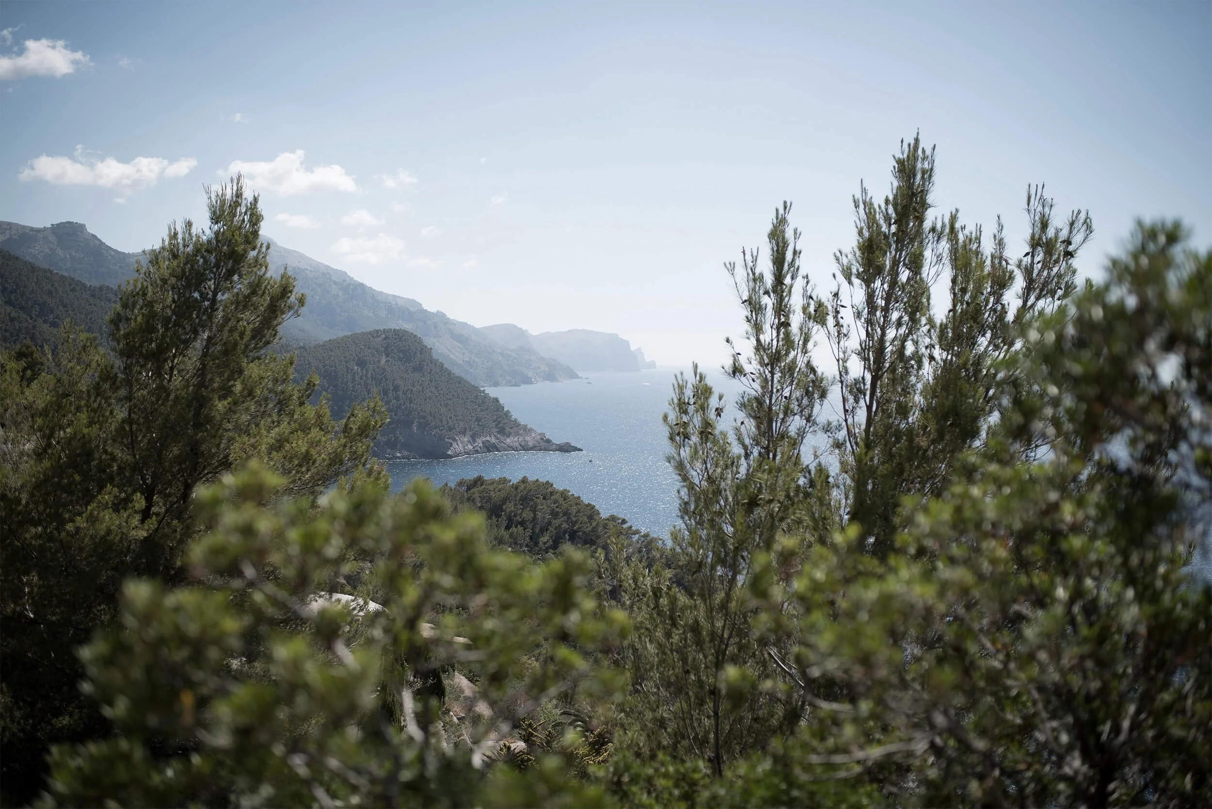 The Psychology of a Serene Life