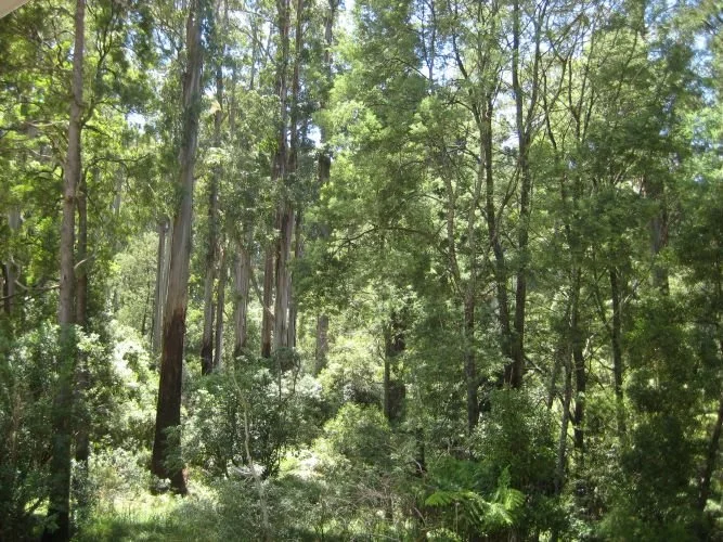 Nature walk - grounded in place and in season 