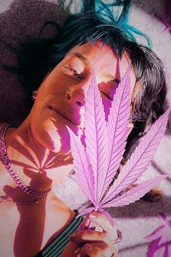 Quinn Kush &amp; Dexter