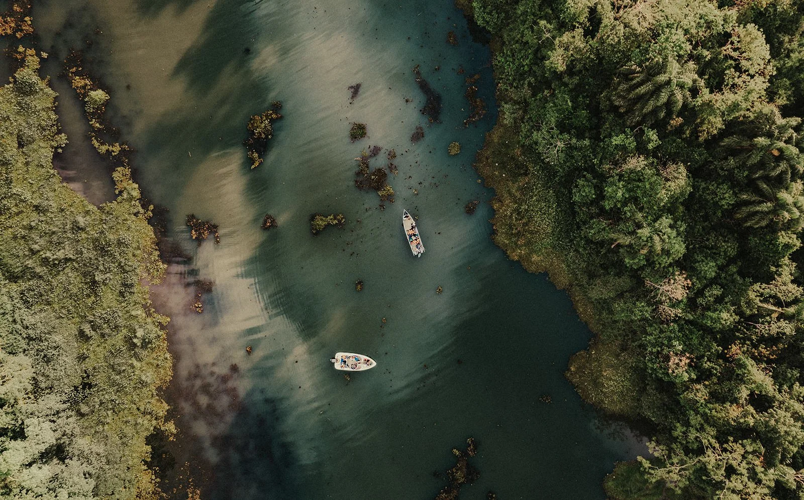 20221123_Retopia_DJI_0029- By Chess Bonte_websize.jpg