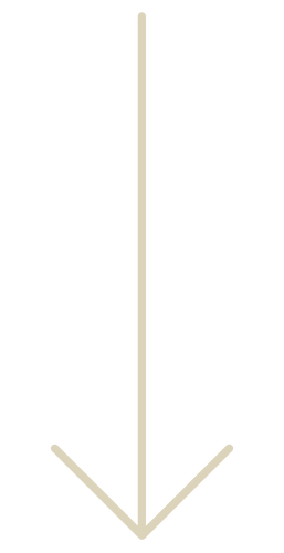 A vertical white arrow pointing downward.