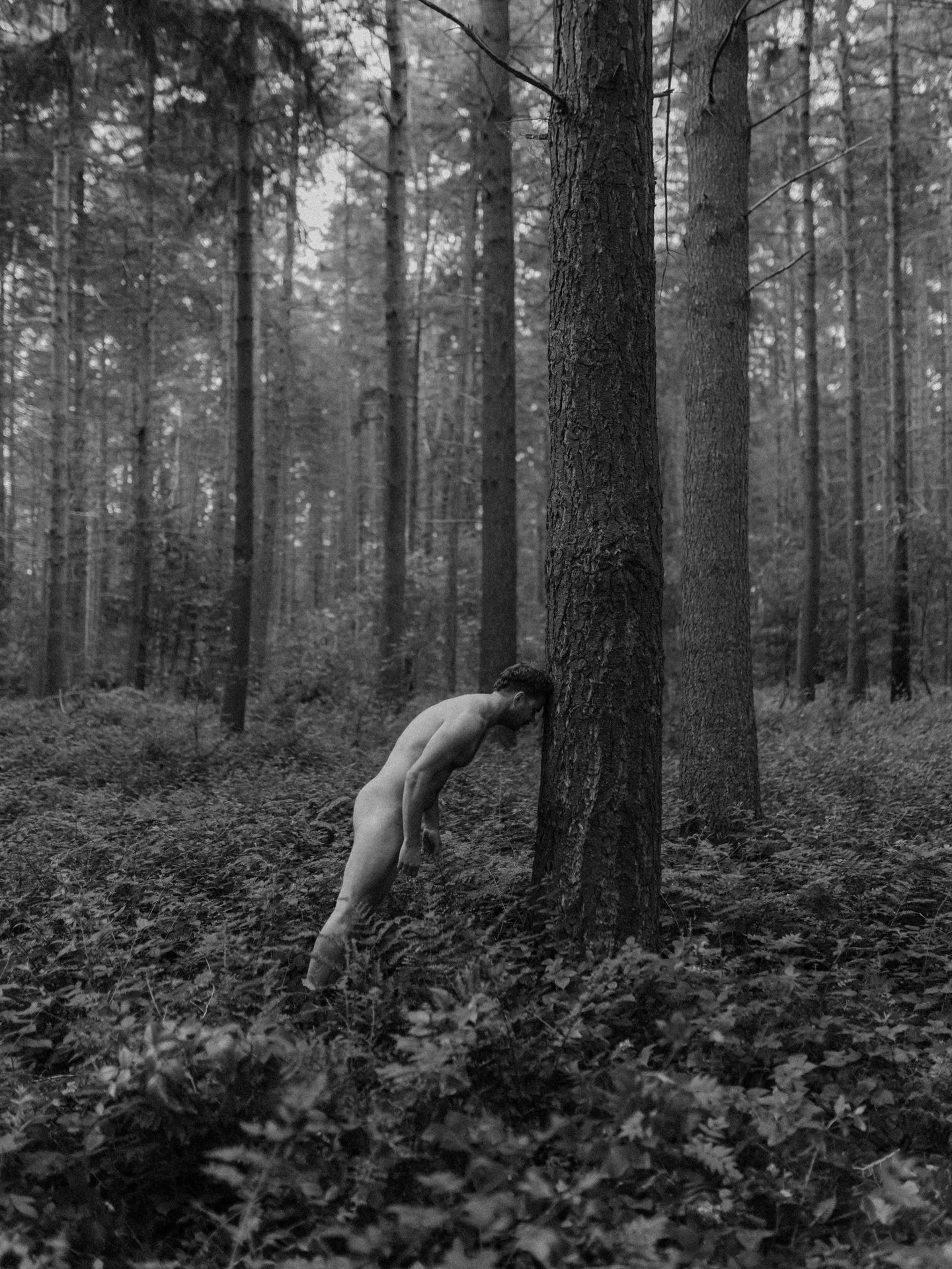 Work for @goforest with @bart_hollander.

Five Belgian actors posed nude to support reforestation.
One calendar sold = one mangrove tree planted in Madagascar.
Less clothing. More impact.

#fineartphotography #conceptualphotography #environmentalart 