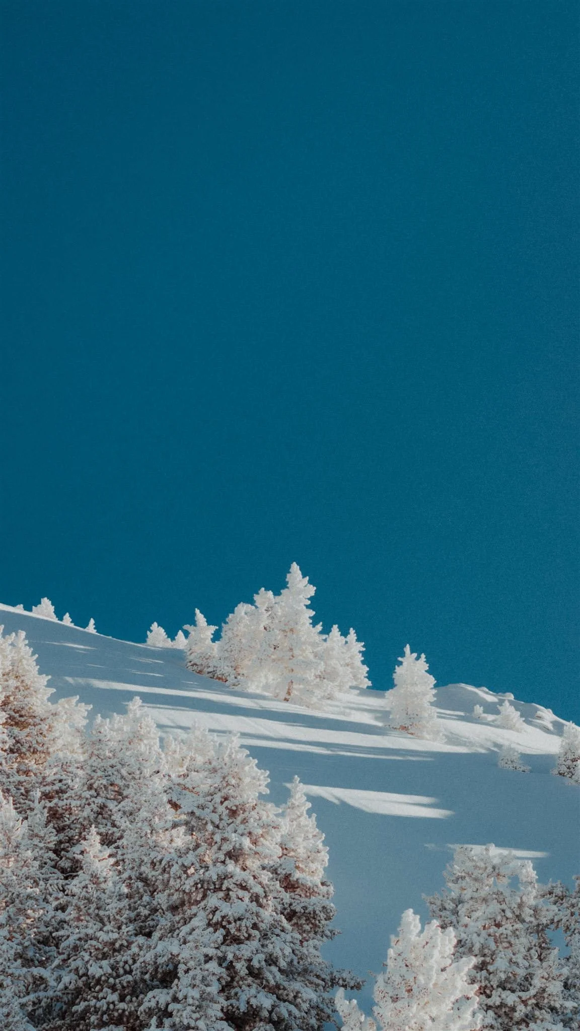 MAM-Champagny-7- - by Chess Bonte_websize (1).jpg