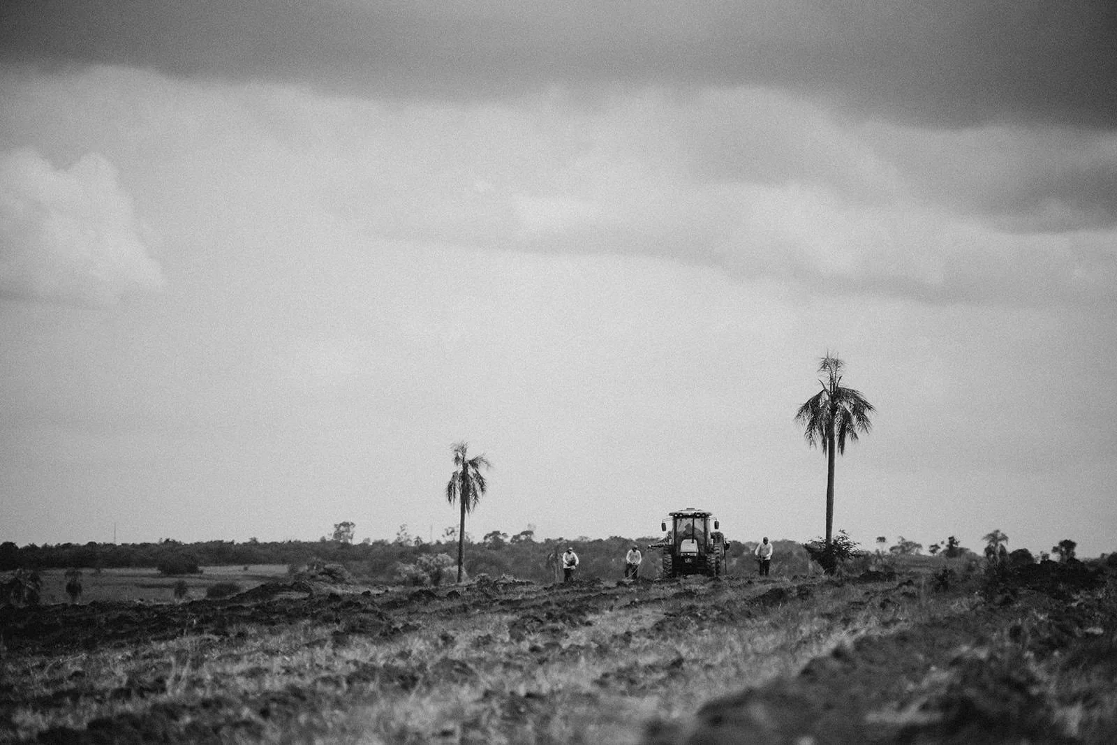 Retopia - November22-30-0262 - by Chess Bonte_websize.jpg