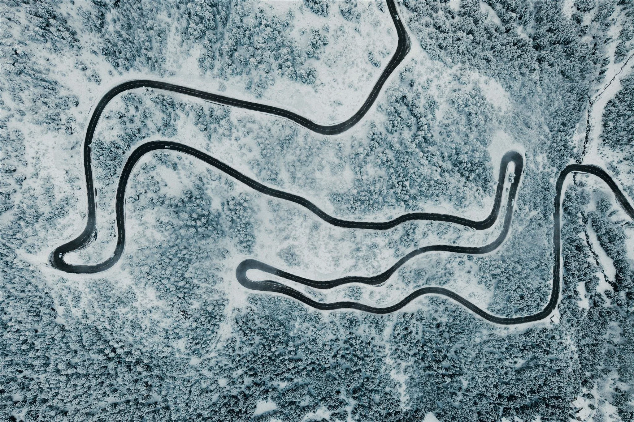 MAM-Champagny-2- - by Chess Bonte_websize.jpg