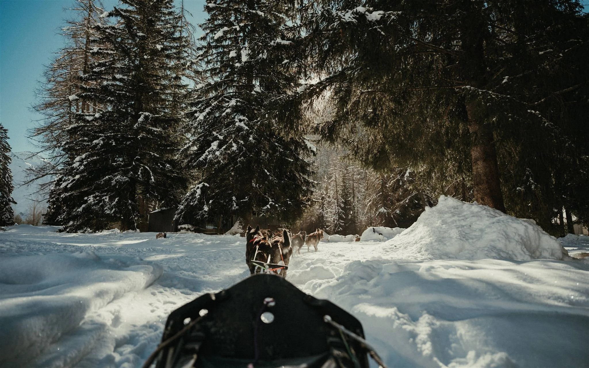 MAM-Champagny-27-6081 - by Chess Bonte_websize.jpg