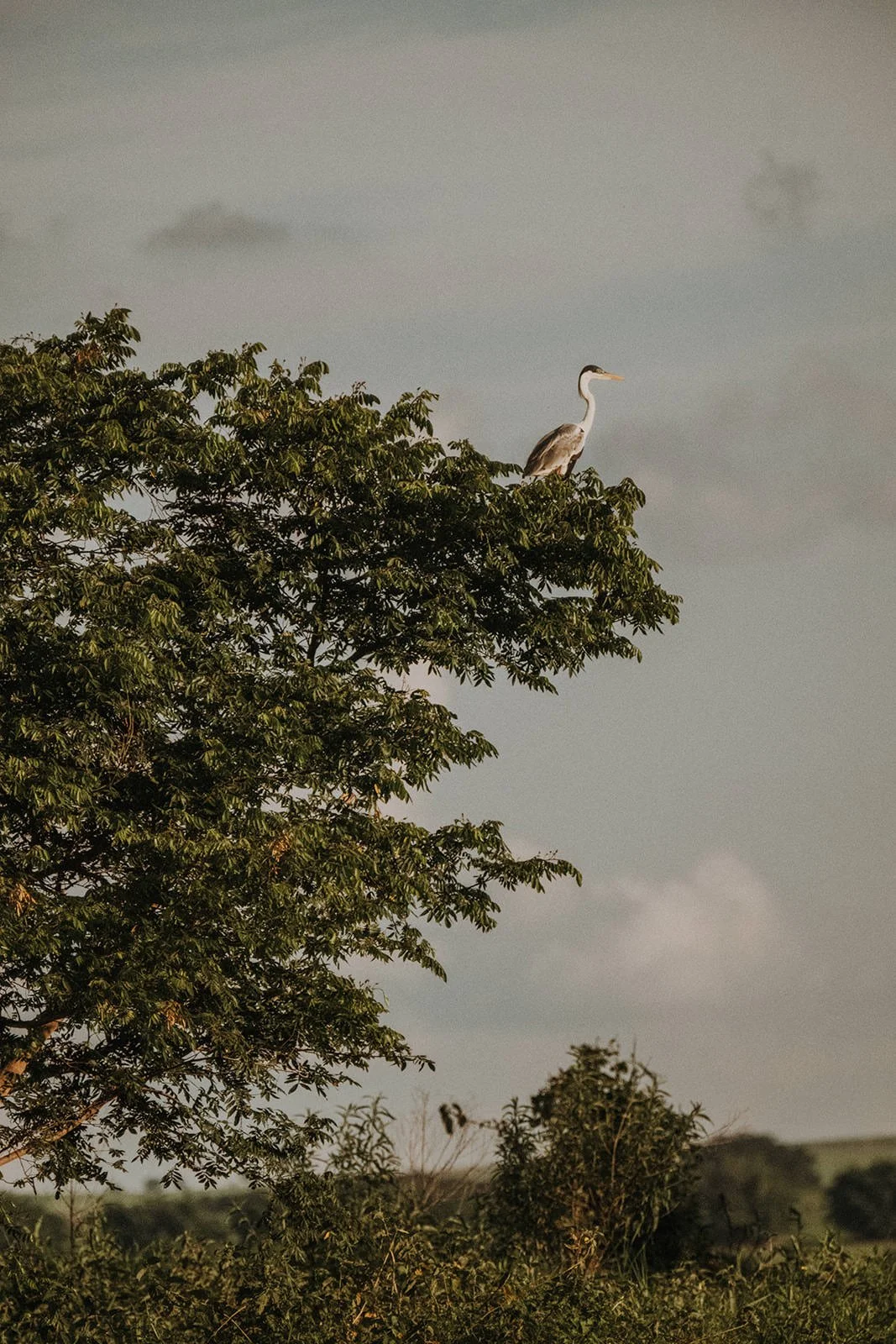 Retopia - November22-113-0906 - by Chess Bonte_websize.jpg