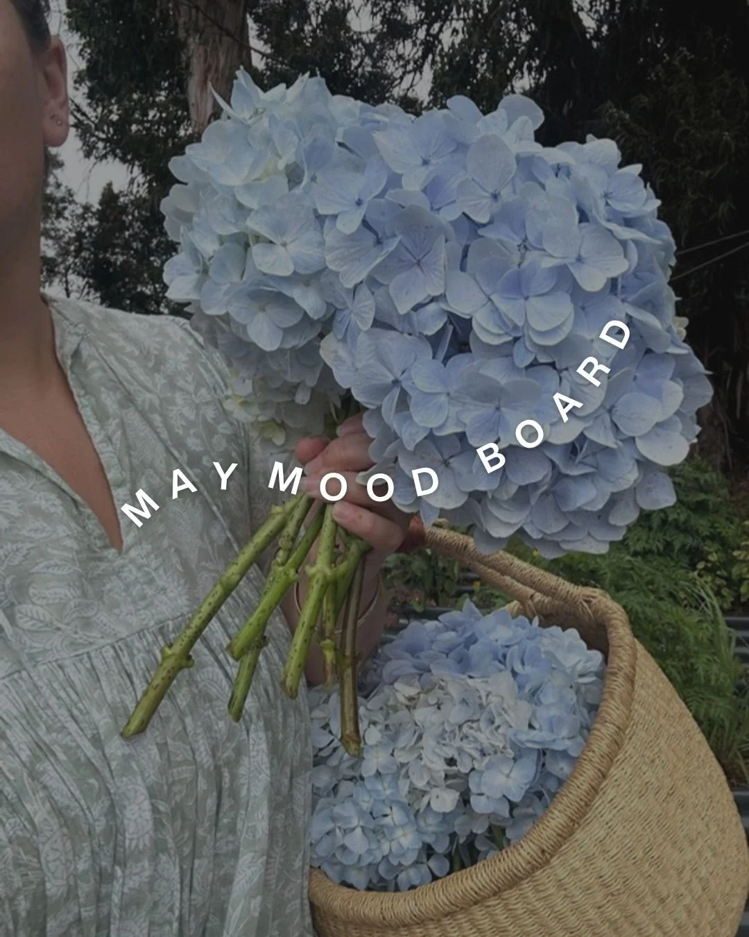 May is the in-between.

Not quite the soft grays of winter. Not yet the full heat of summer. It's the moment color finds its confidence.

This month's brand board is all about that gradual shift. Blues that start barely-there and deepen into somethin