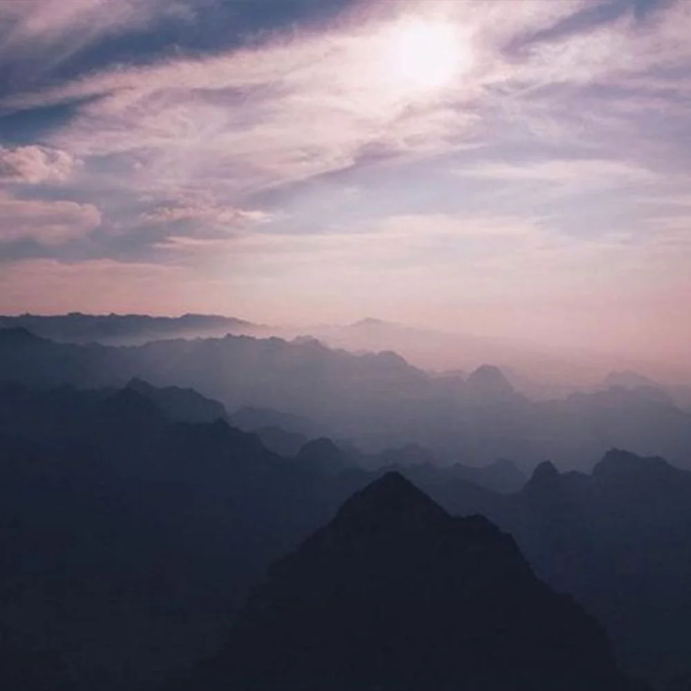 Emotions in GRAPE ROYALE
#visualmoodboard #visualdiaries #welovecolours #graperoyale #series #minimalism #culture #art #architecture #wemakedocumentaries #tellingstories #visualstyle #pantone @type_c_productions