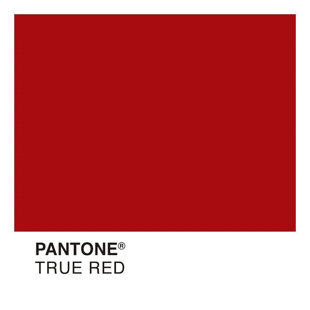 TRUE RED
#visualmoodboard #visualdiaries #welovecolours #mimosa #series #series #minimalism #culture #art #architecture #wemakedocumentaries #tellingstories #visualstyle #pantone @type_c_productions