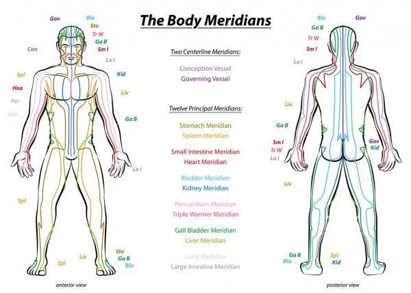 Diagram of the 12 main meridians of the body in Traditional Chinese Medicine, illustrating the energetic pathways used in acupuncture treatments at The Gentle Needle Guy’s clinic in Brisbane.