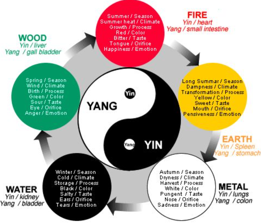 Diagram of the Yin-Yang cycle combined with the Five Elements of Traditional Chinese Medicine, illustrating the interconnected forces that guide diagnosis and treatment at The Gentle Needle Guy’s acupuncture clinic in Brisbane.