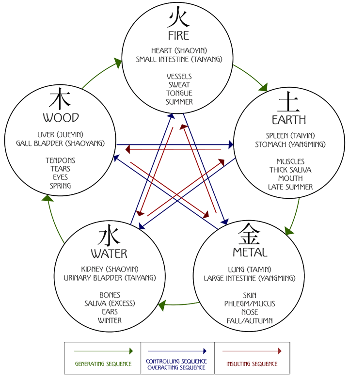 Diagram of the Five Elements cycle in Traditional Chinese Medicine, representing the dynamic relationships between Wood, Fire, Earth, Metal, and Water as applied in acupuncture at The Gentle Needle Guy’s clinic in Brisbane.