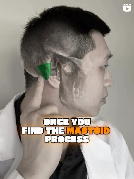 Struggling to Sleep? 😩💤
Try This Simple Acupressure PointThis acupressure point is designed to help you relax, calm your mind, and finally get the sleep you deserve.
Here’s how to find it and use it properly.Save this video so you can try it toni