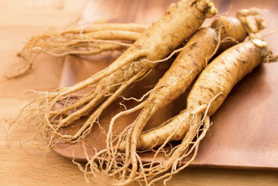 Ginseng root, a widely used traditional Chinese herb, symbolising vitality and energy support in the philosophy behind The Gentle Needle Guy’s acupuncture approach in Brisbane.