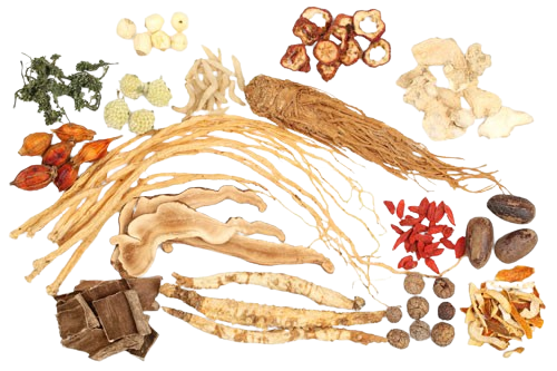Chinese herbs displayed symbolically to represent the roots of Traditional Chinese Medicine, which informs The Gentle Needle Guy’s acupuncture approach in Brisbane.