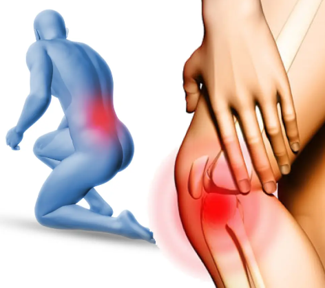 Illustration of lower back and knee pain to represent musculoskeletal discomfort commonly treated with acupuncture.