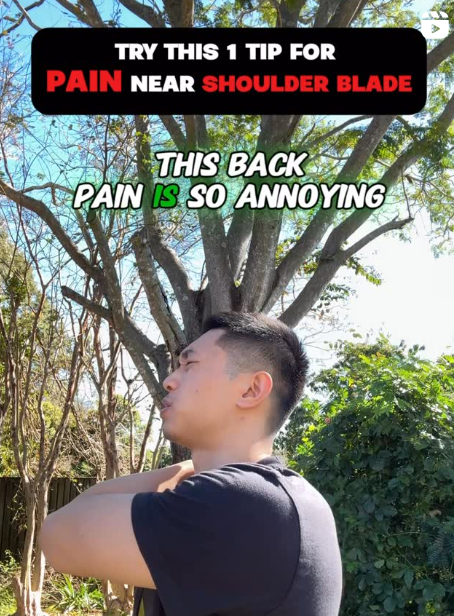 Try This 1 Trick For Pain Near Shoulder Blade