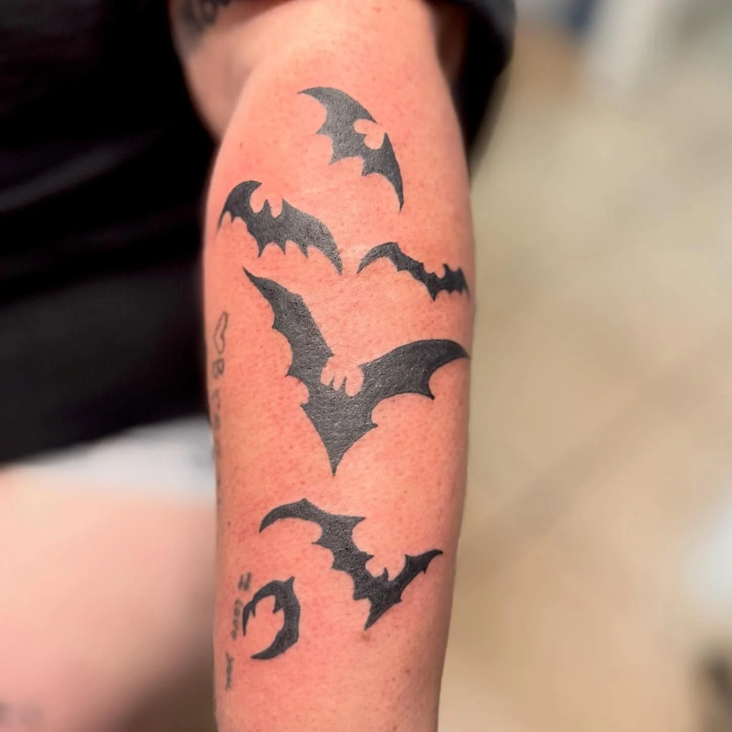 Freaking bats by @beeporvida