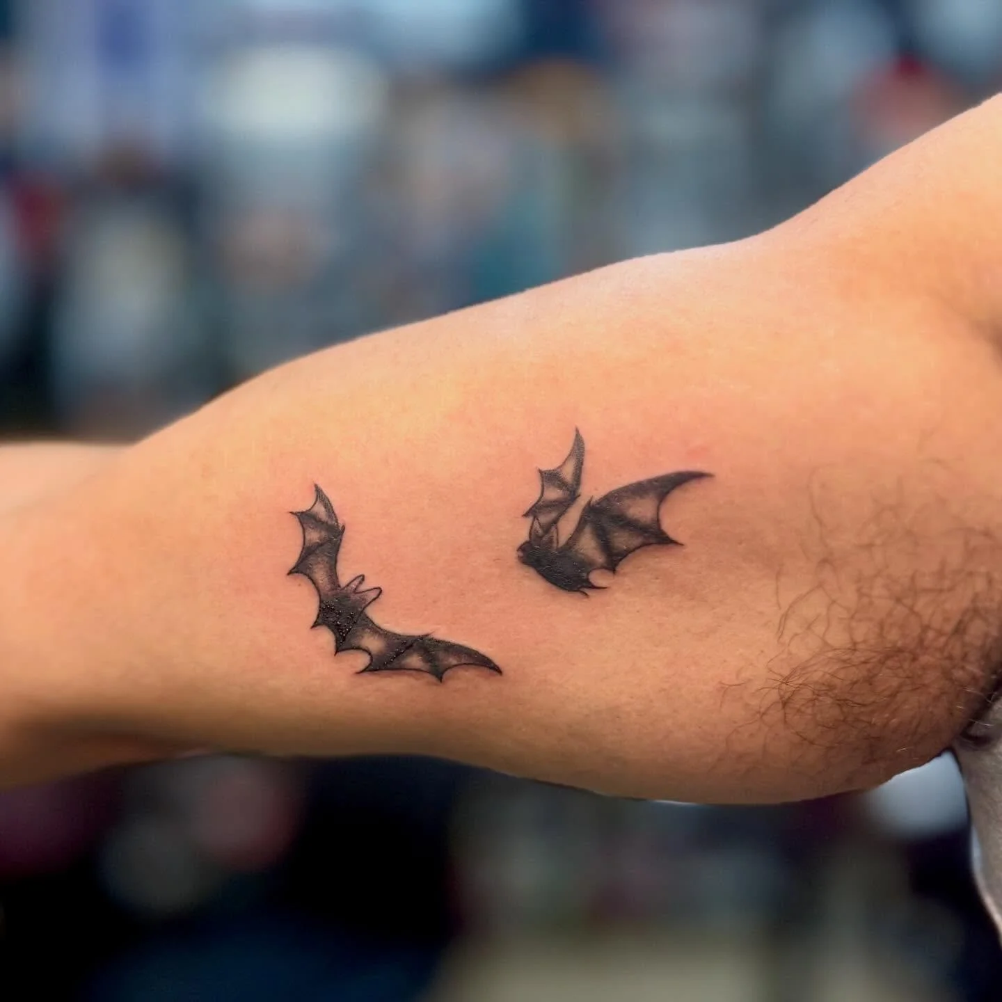 More freakin bats. @beeporvida