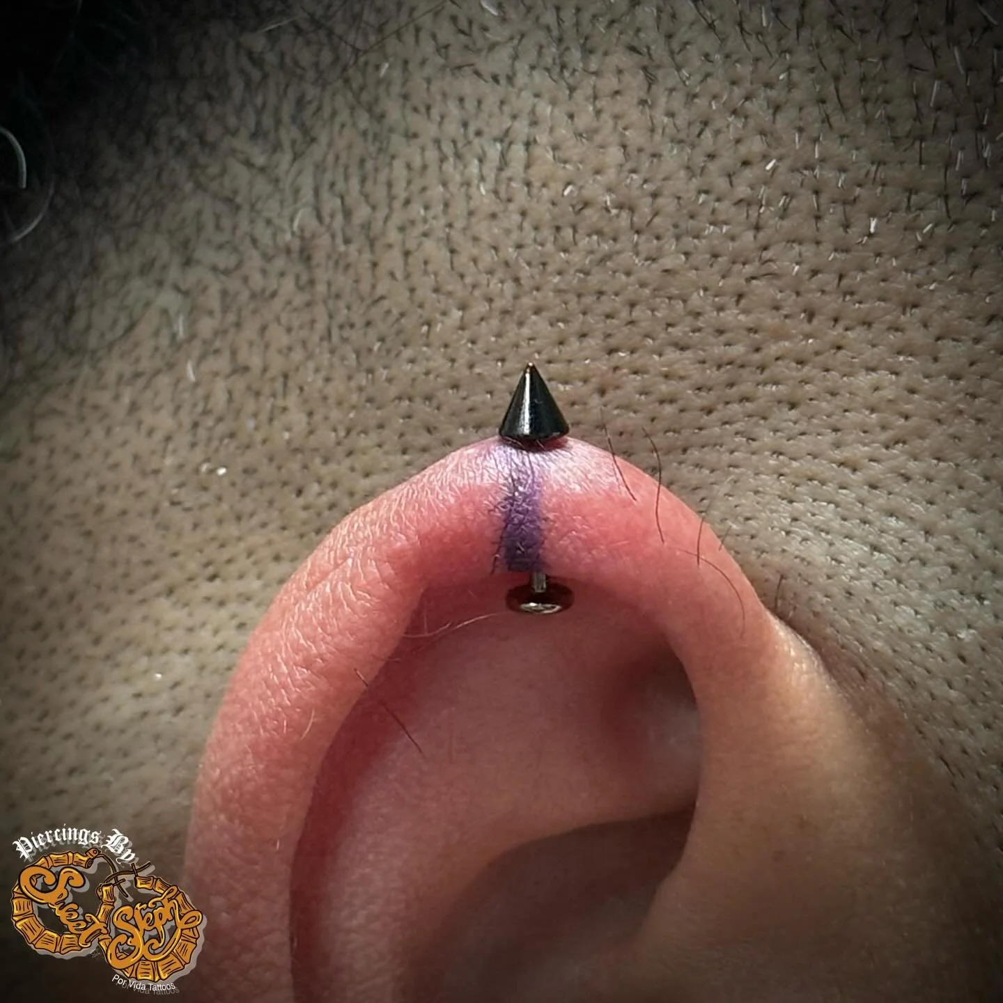 A pair of vertical helix by @sweetpiercingsbysteph