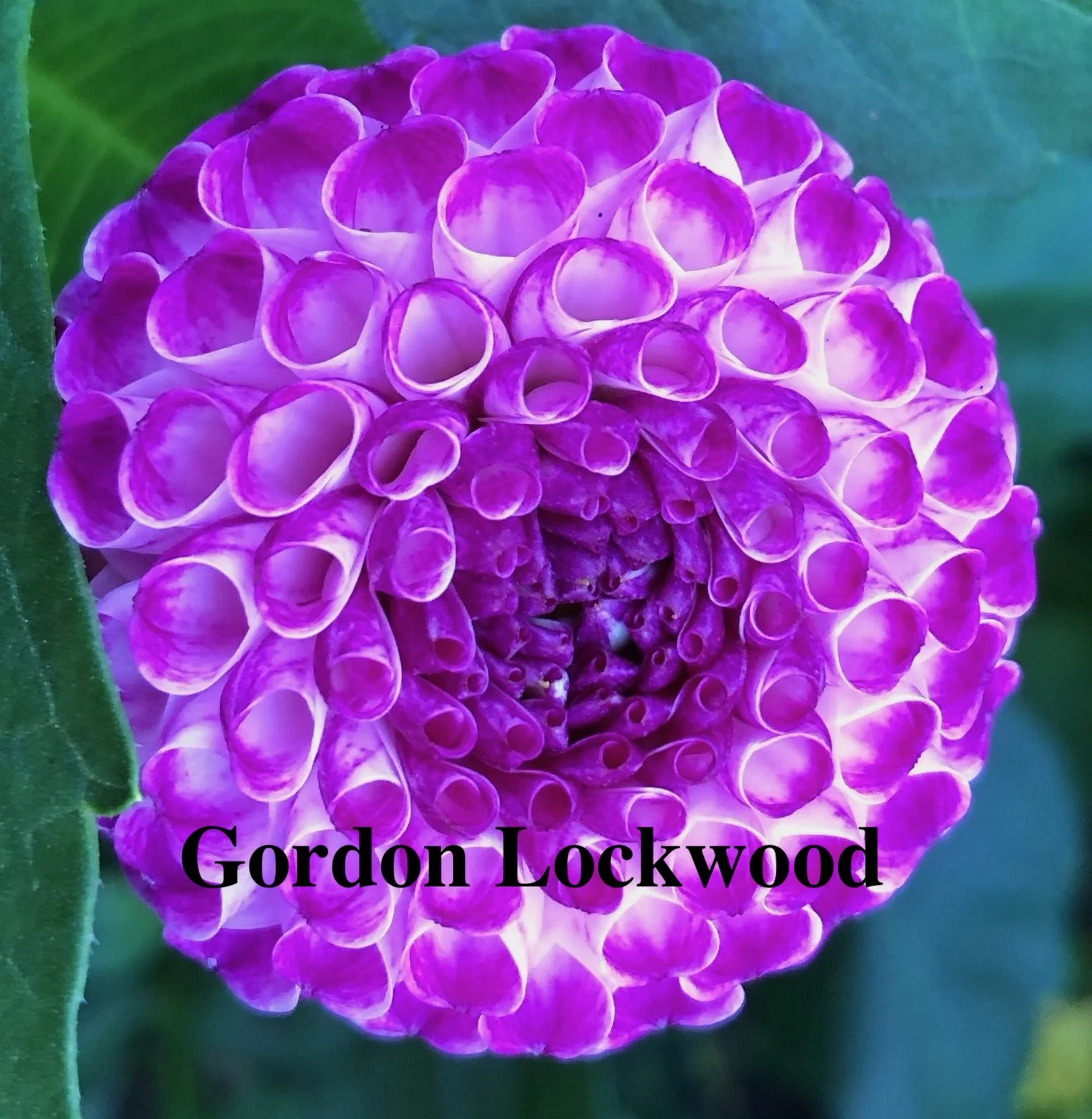Gordon Lockwood
