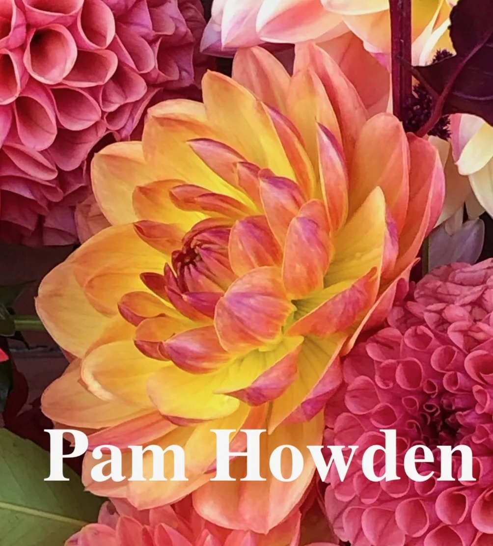 Pam Howden.jpeg
