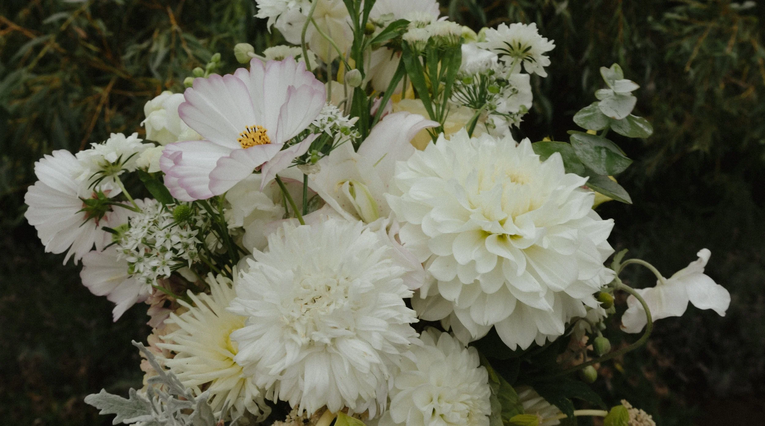 7C1A2733.jpg