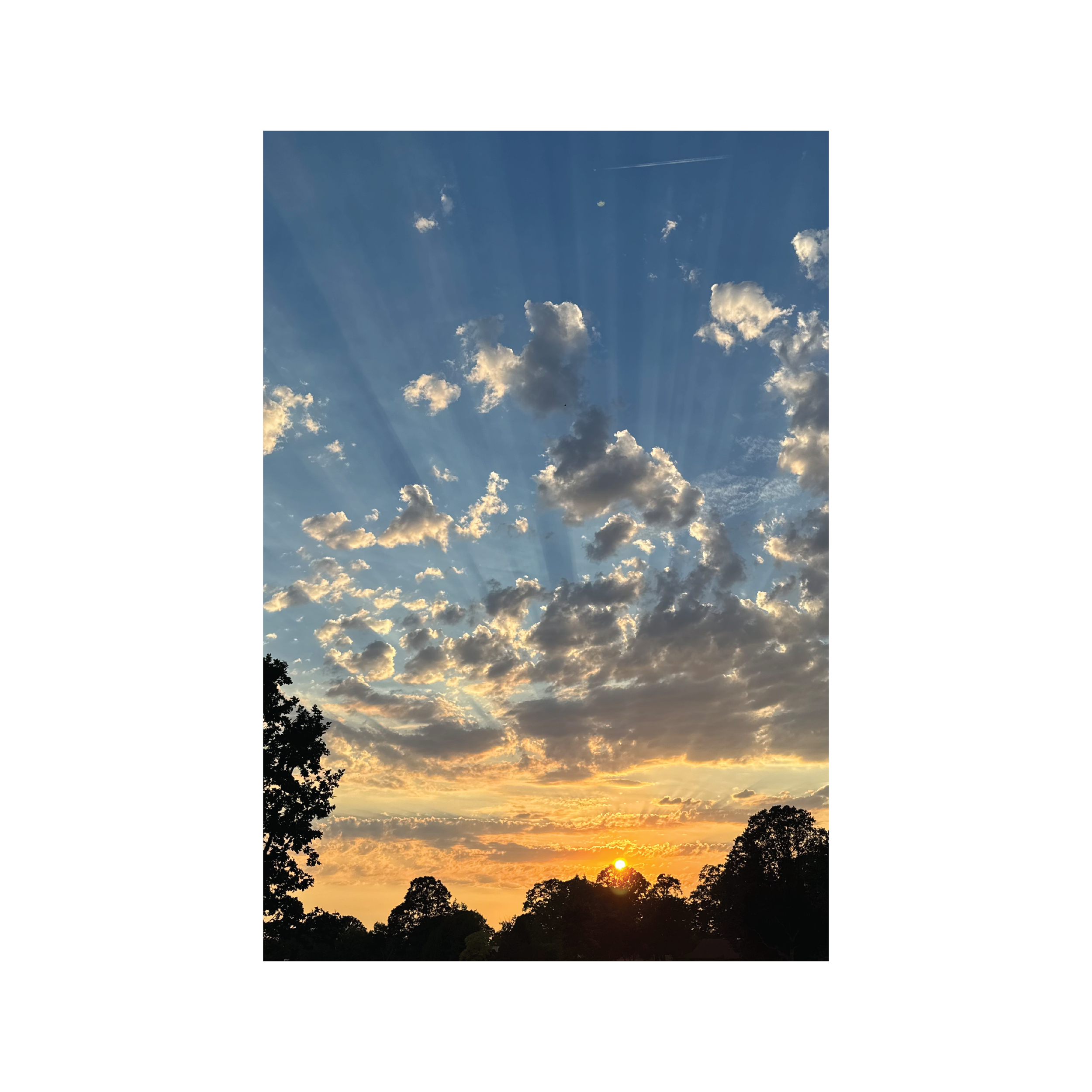 skyline003cover.png