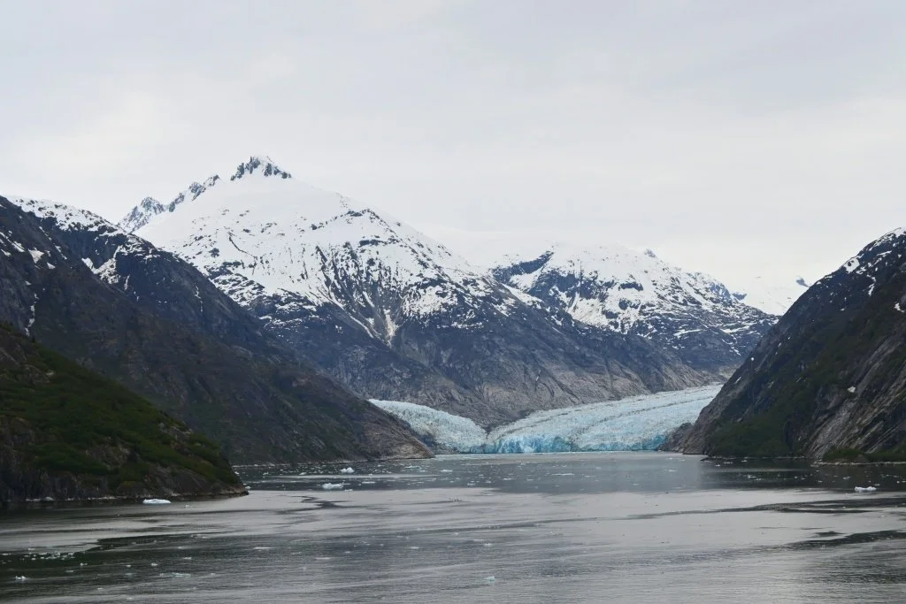 Endicott Arm Fjord lined with floating icebergs on the approach to Dawes Glacier Alaska aboard Celebrity Edge