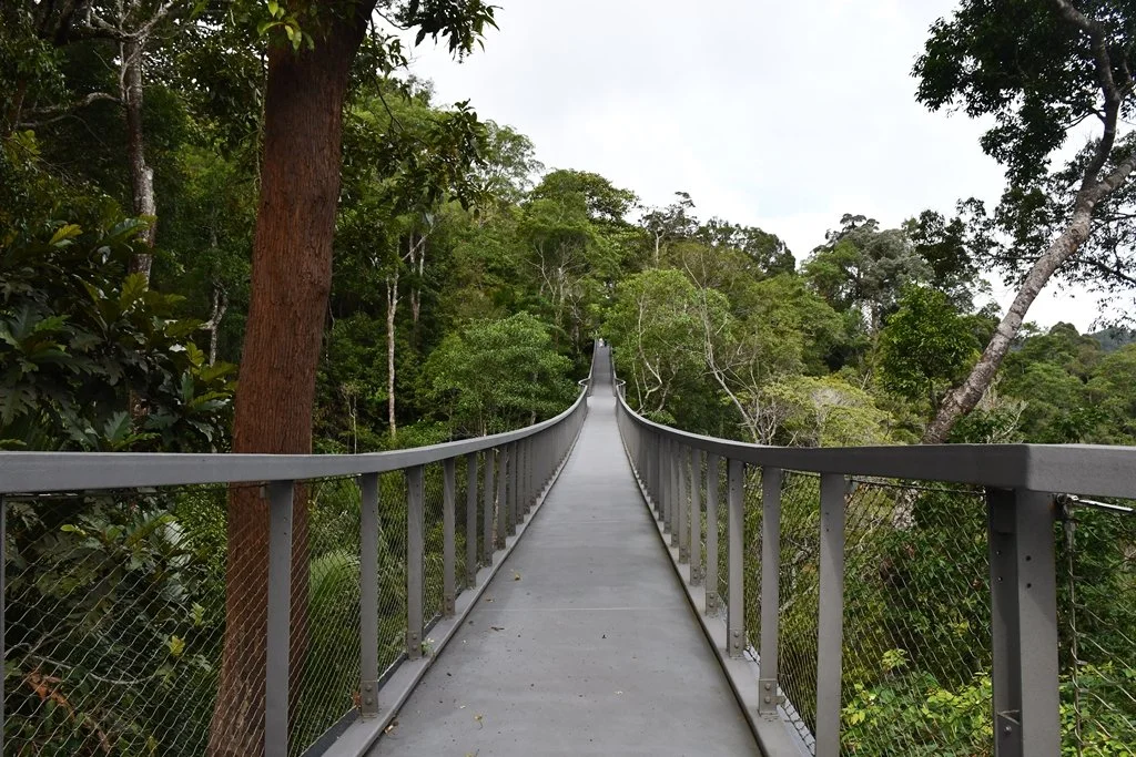 Penang Hill Habitat treetop walkway canopy walk Penang Hill