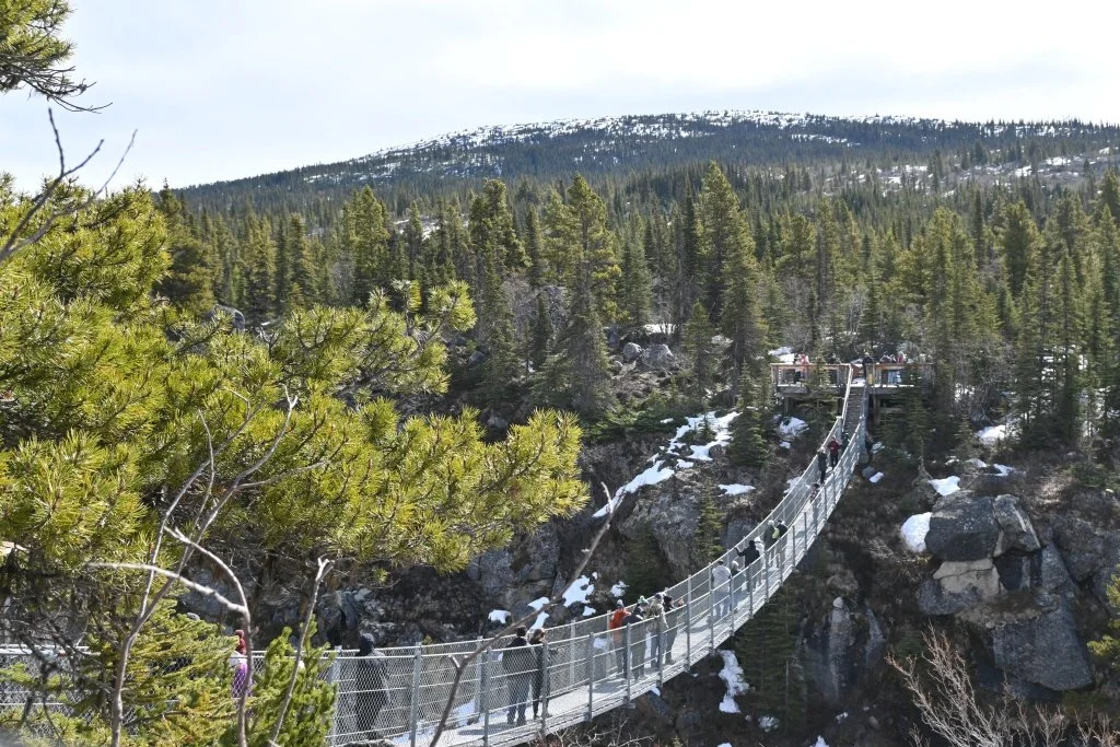 Yukon Suspension Bridge suspended 65 feet above rushing rapids near Skagway Alaska