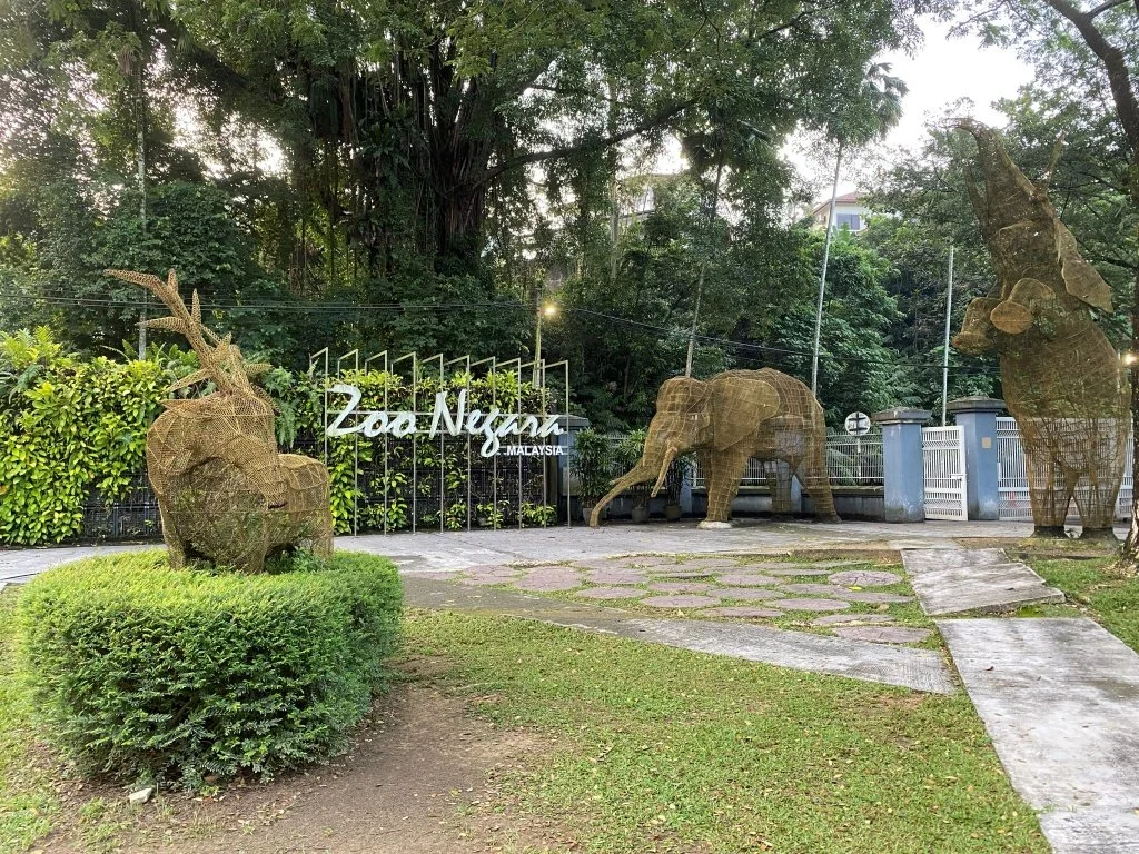 Zoo Negara, From the Other Side: A Behind-the-Scenes CSR Experience Most Visitors Will Never Have