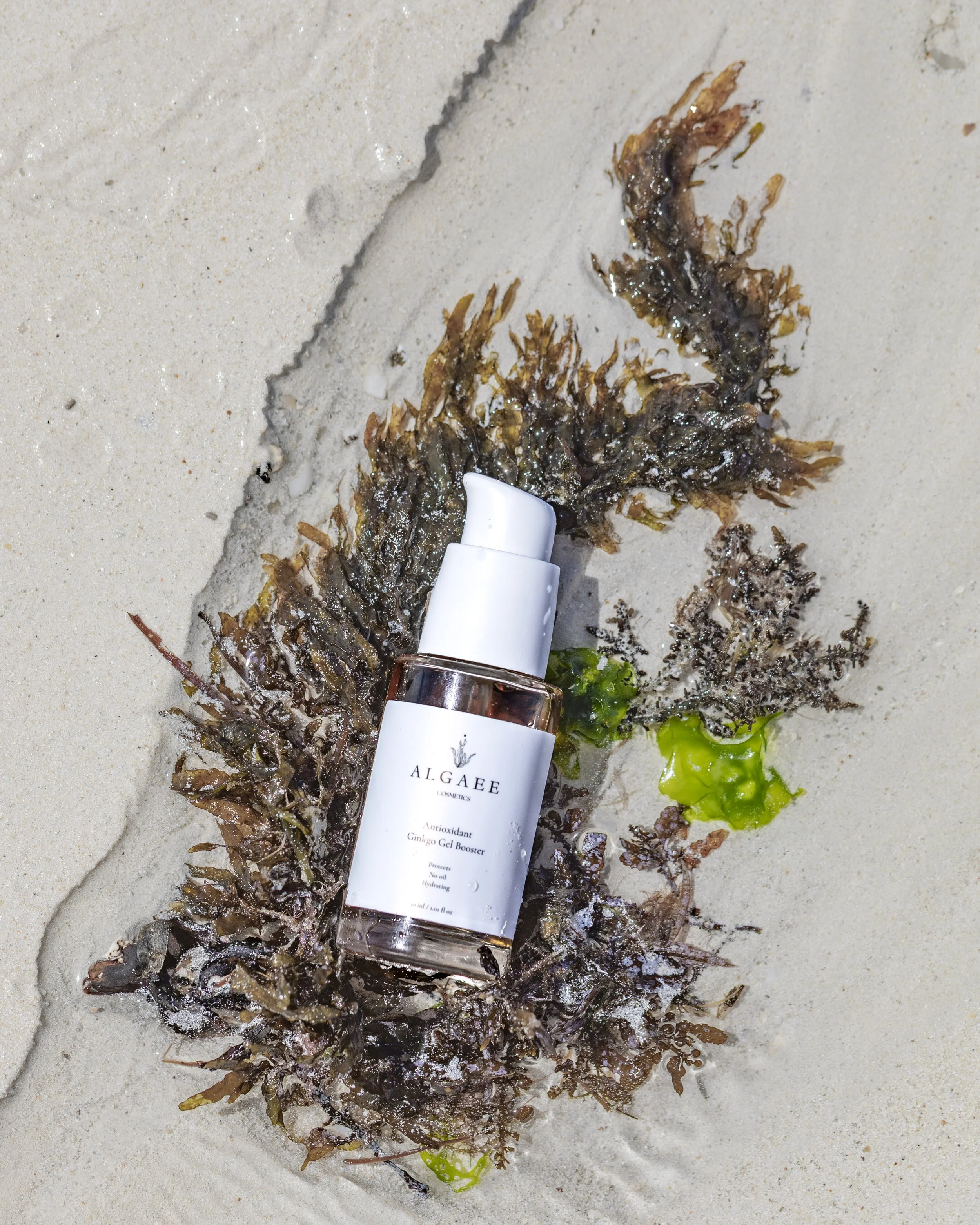 Antioxidant Ginkgo Gel Booster