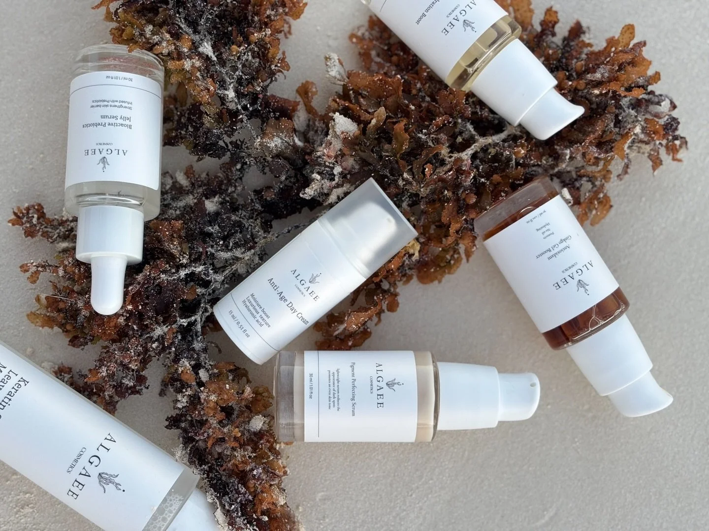 What did the ocean provide today?  Apart from being one of the largest carbon sinks , it also provides our skincare with the seaweed we need to make our products ☀️Featuring our seaweed collection and my two favourites, our  anti-age day cream and st