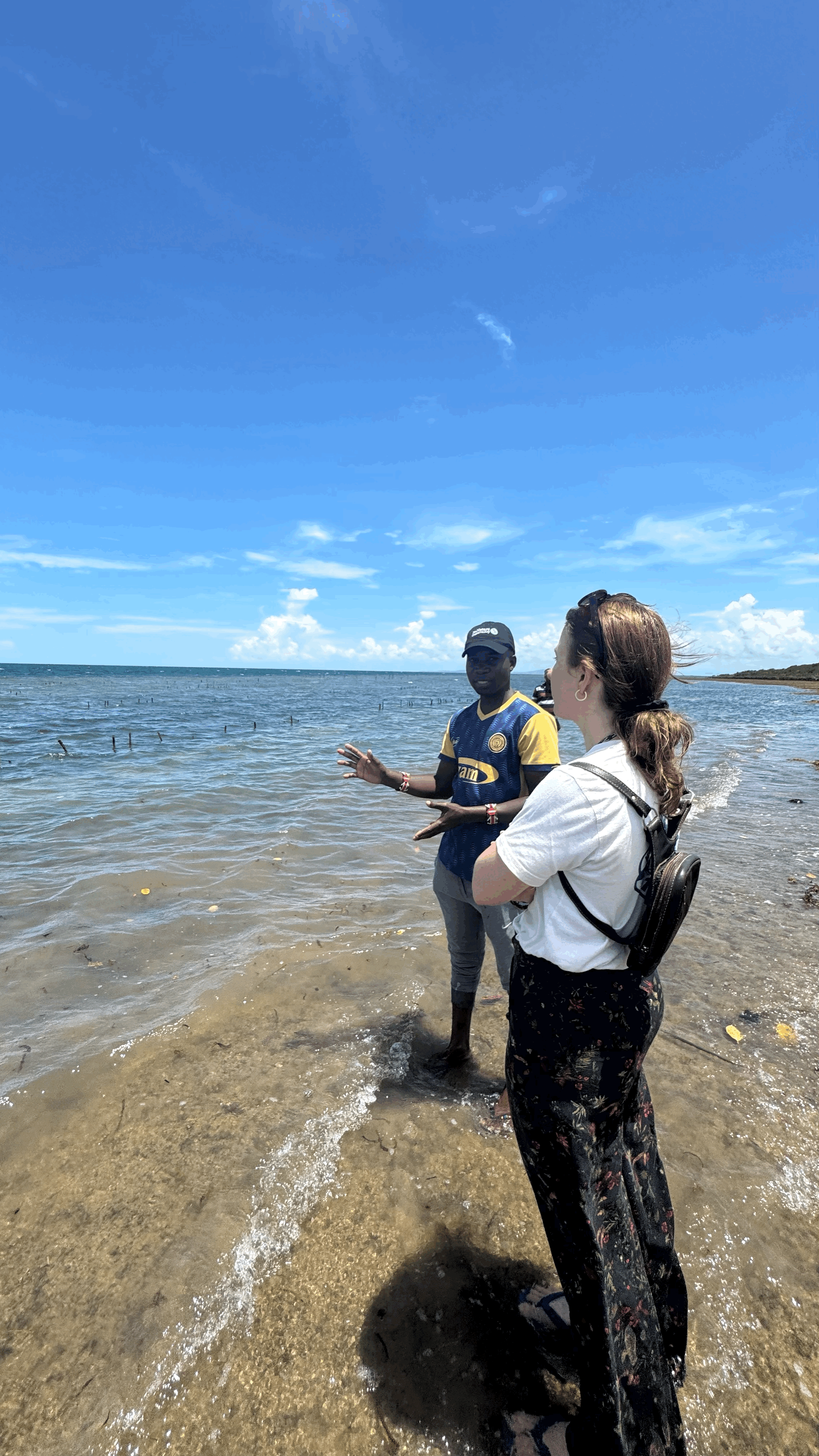 What a PhD in Seaweed Taught Me