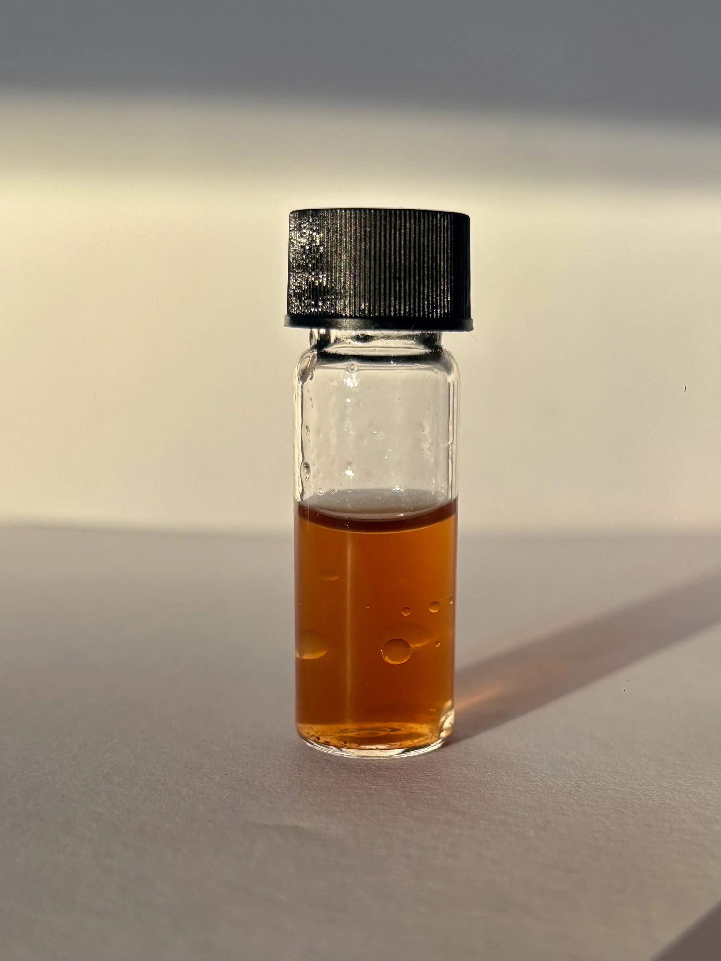 Ascophylum nodosum extract