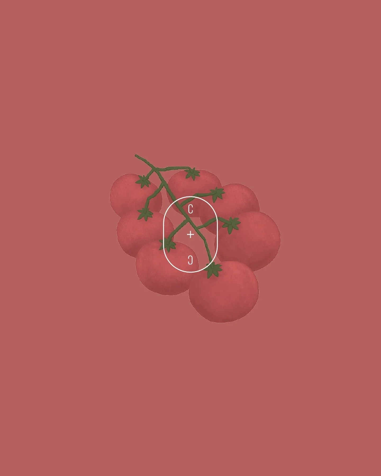 Late last year we worked on a project for @copperandcloves in Bangalore. We developed a visual language to help them communicate their meaningful work and space. With the star ingredients as the champion and focus element, clean, minimal backdrops we