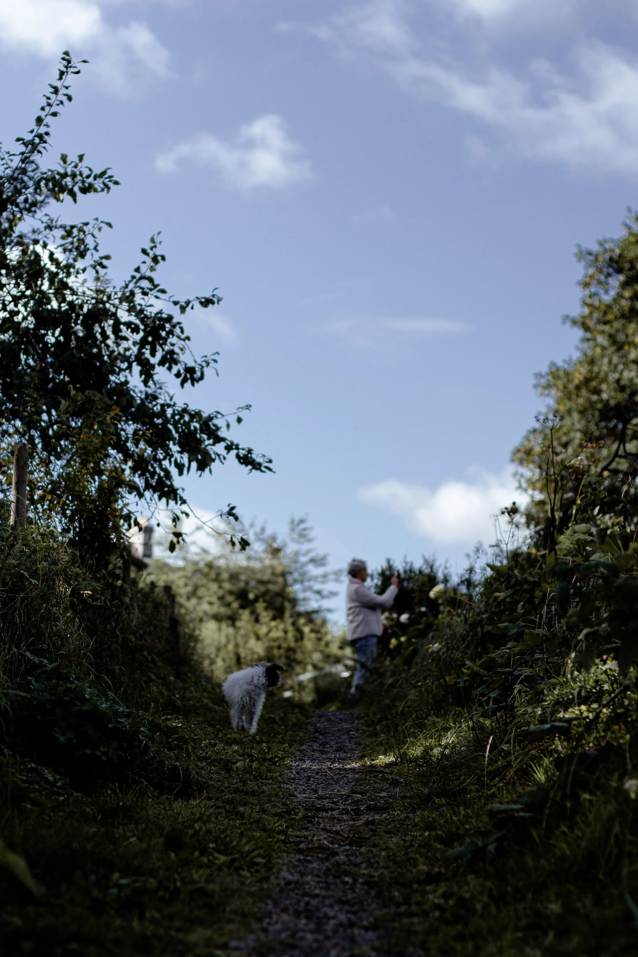 countryside-walk-photography-wild-mind-studios.jpg