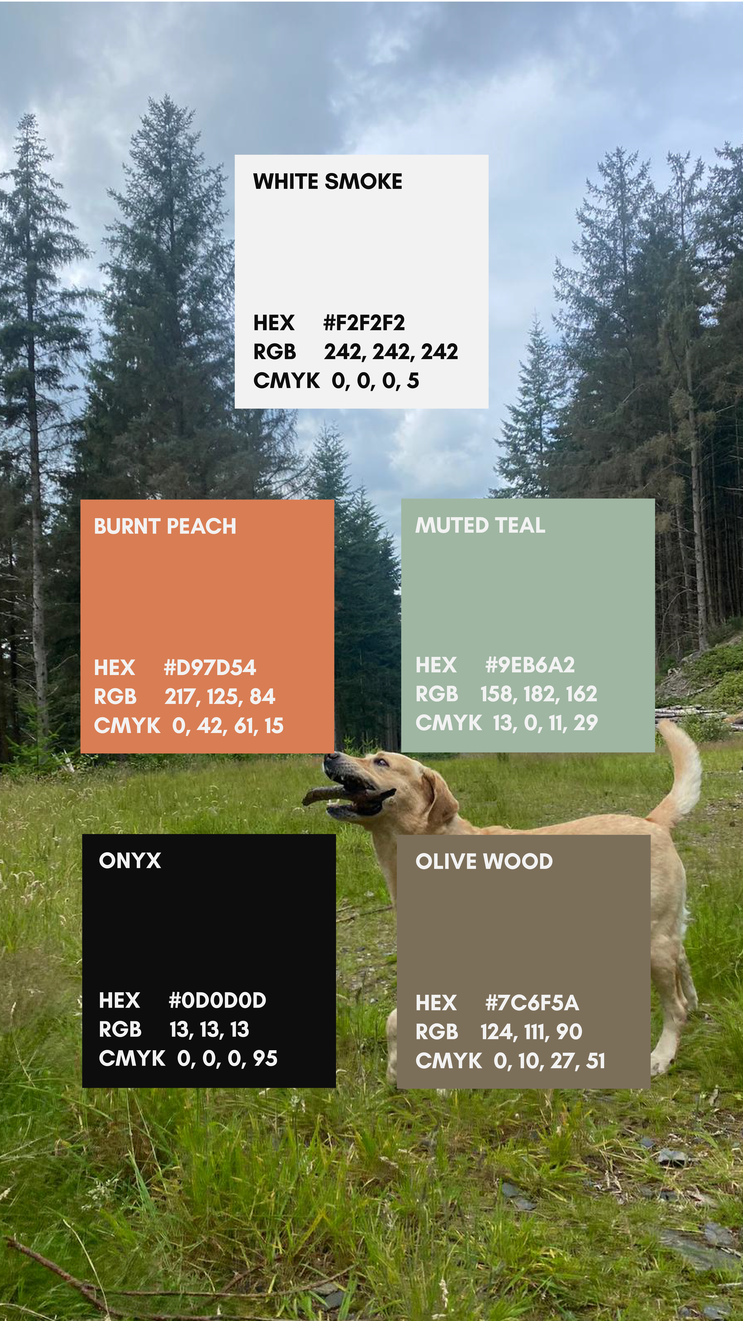 woofterrain_reel.png