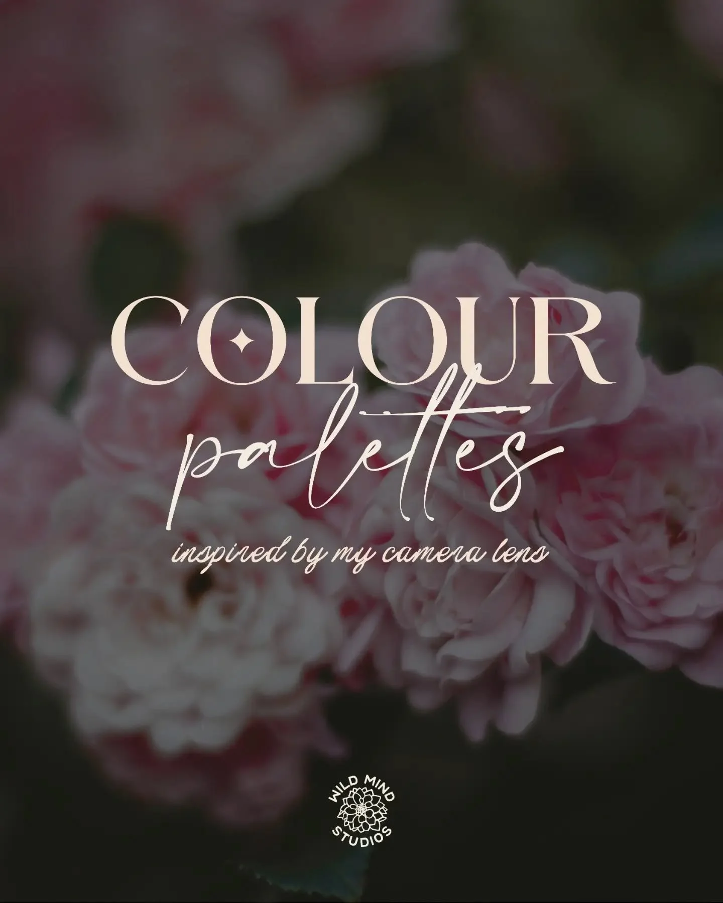 Some more colours palettes inspired by my camera lens 📸🥰 and we are on the pinky-purply theme today which I absolutely love! 🩷💜

The best colour combinations are usually already out there, in someone's front garden or a field somewhere. Here are 