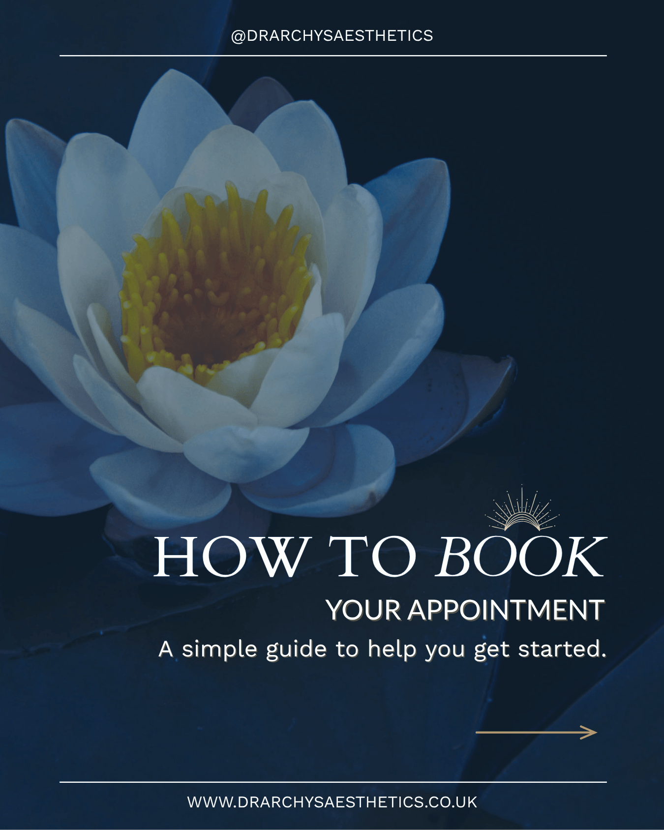 Dr Archy's Aesthetics carousel slide: 'How to Book Your Appointment — a simple guide to help you get started' — social media content by Wild Mind Studios