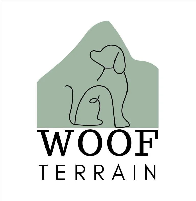 WhatsApp Image 2025-01-29 at 19.22.19.jpeg