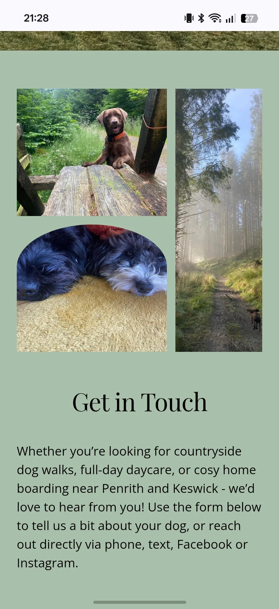 Mobile-responsive contact section for Woof Terrain, featuring soulful dog photography and a local-SEO optimized call-to-action for pet services near Penrith and Keswick.