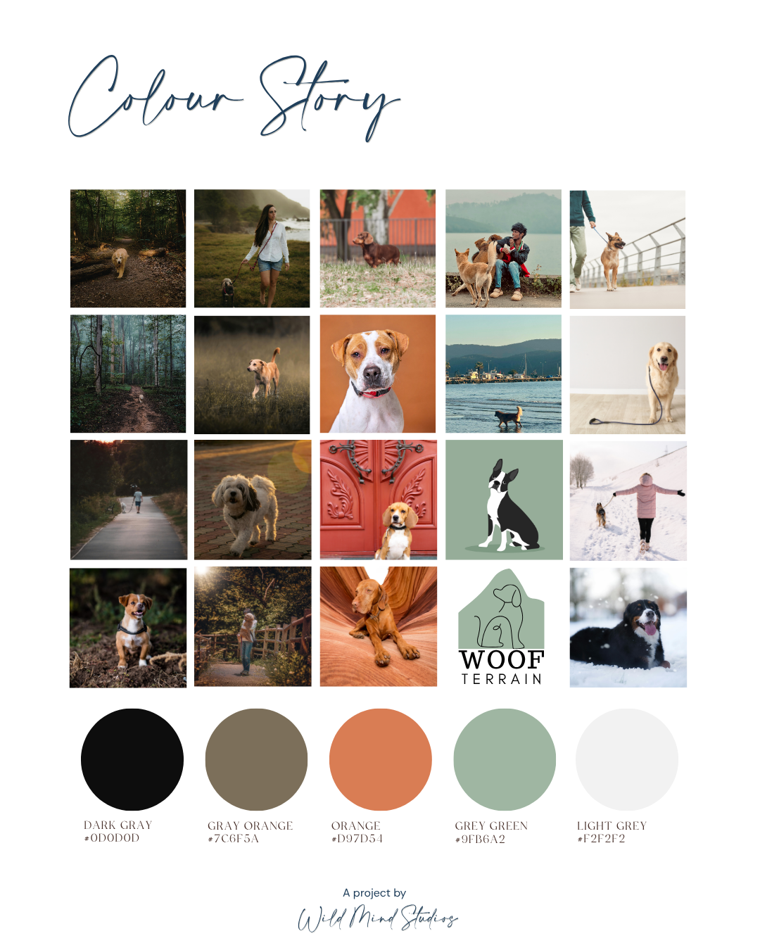 A professional brand colour story for Woof Terrain, featuring hex codes for sage green, burnt orange, and slate grey inspired by Lake District landscapes.