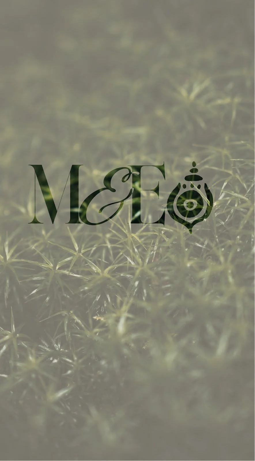 Moss & Ember logo mark displayed on a textured moss background — brand identity concept by Wild Mind Studios
