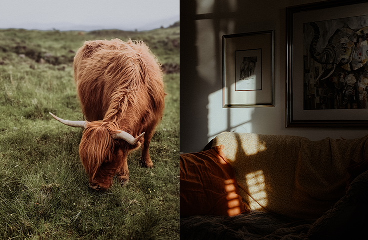 How to Work with the Cancer New Moon (Without Pushing Yourself)